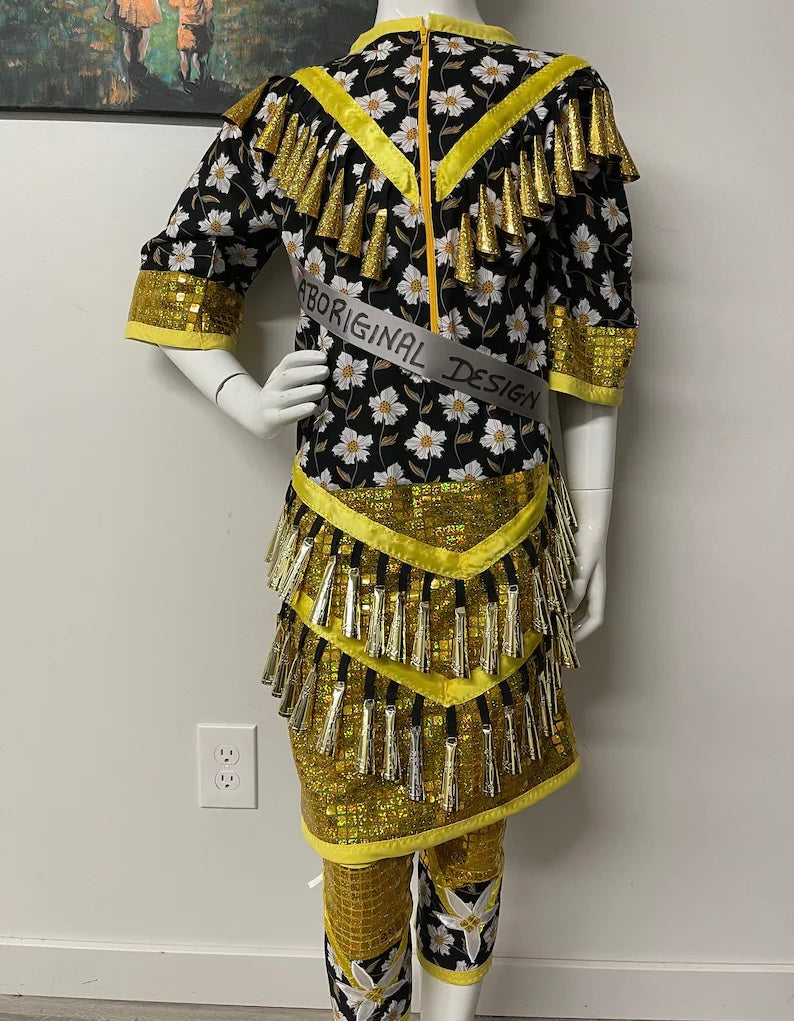 Jingle dress regalia for sale best sale